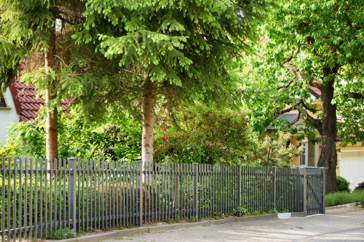 Zaun Modell New York